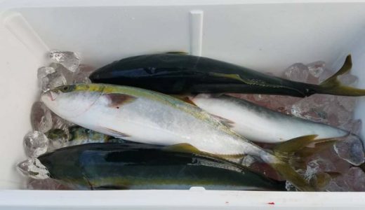 （いつもの）魚釣り！