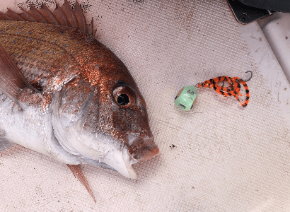 ★魚釣りへ★