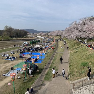 ★お花見BBQ★