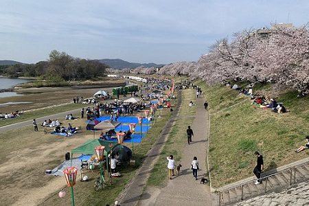 ★お花見BBQ★