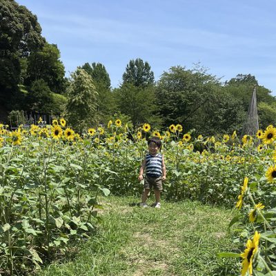 ★夏の遊び！★