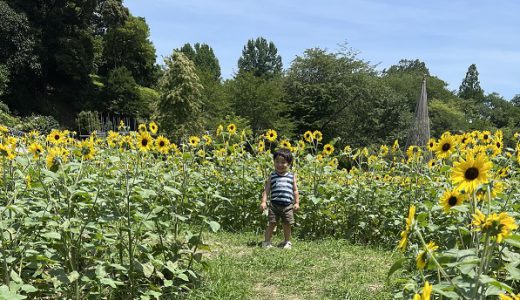 ★夏の遊び！★