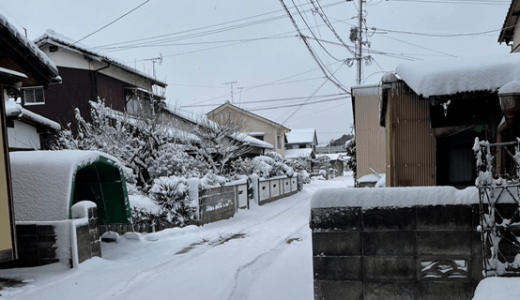 ★雪★