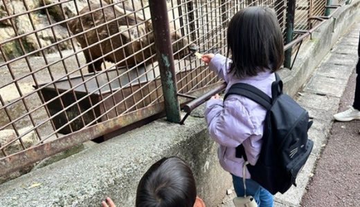 ★動物園★