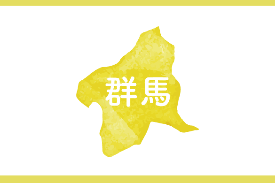 【群馬県】電力価格高騰対策・再エネ導入支援事業費補助金　公募情報