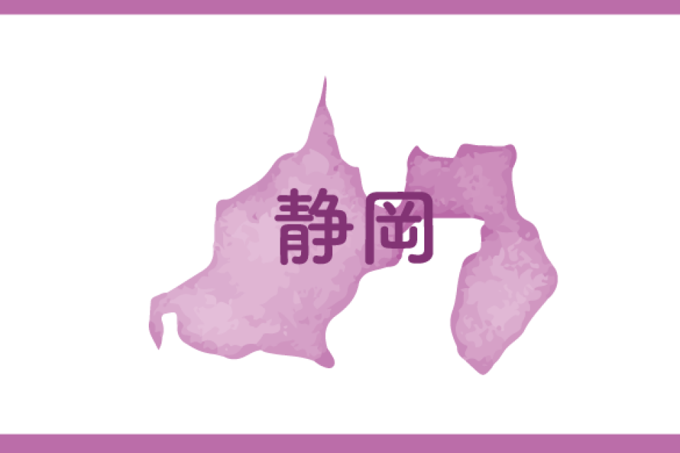 【静岡県】静岡県中小企業等省エネ設備導入促進事業費補助金　公募情報
